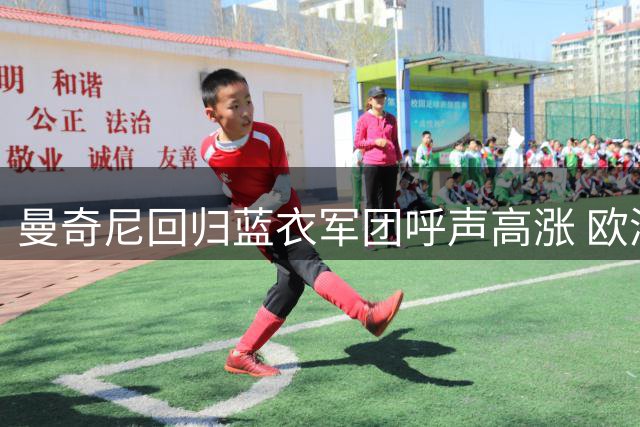 曼奇尼回归蓝衣军团呼声高涨 欧洲杯功勋能否再创奇迹？